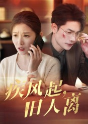 疾风起旧人离(32集) 疾风起旧人离(32集)直接追到结尾