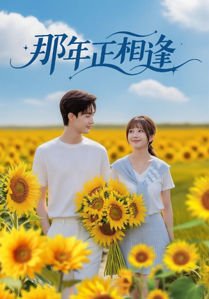 那年正相逢（60集）短剧免费看