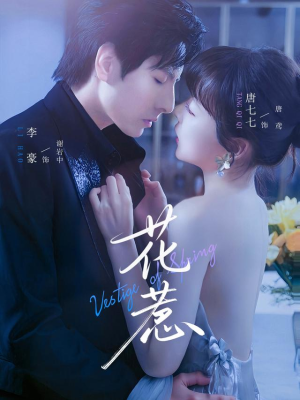 花惹(70集) 花惹(70集)全剧看到大结局