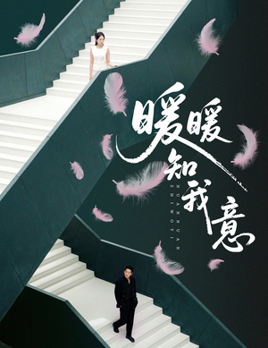 暖暖知我意(61集) 暖暖知我意(61集)全集下载