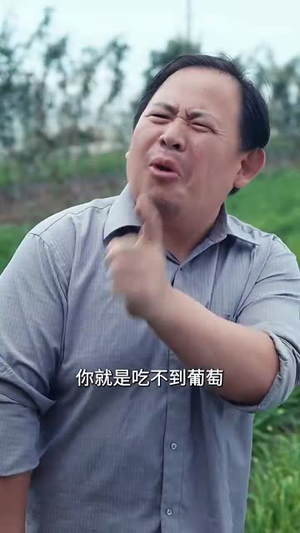 乡村之出人头地(80集) 乡村之出人头地(80集)好看上头的短剧