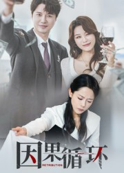 因果循环(45集) 因果循环(45集)全集都在这里了