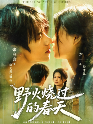 野火烧过的春天(85集) 野火烧过的春天(85集)精彩短剧抢先看