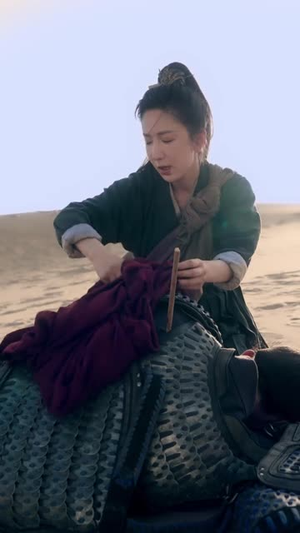 我为将军披战袍(69集) 我为将军披战袍(69集)哪个短剧网能看