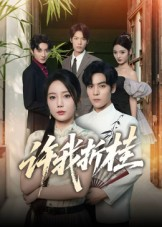 许我折桂(70集) 许我折桂(70集)精彩短剧热播