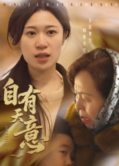 自有天意(35集) 自有天意(35集)百度网盘资源