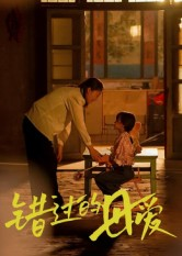 错过的母爱(32集) 错过的母爱(32集)超好看短剧推荐