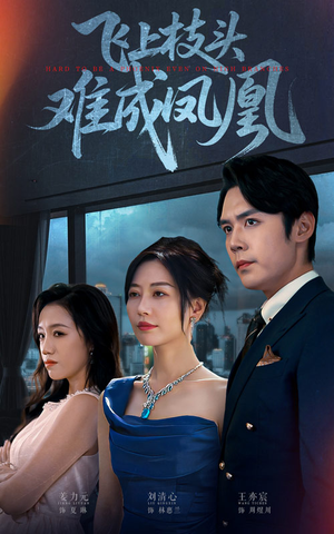 飞上枝头难成凤凰(47集) 飞上枝头难成凤凰(47集)抢先看热门短剧