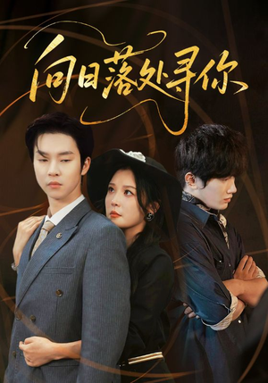 向日落处寻你(70集) 向日落处寻你(70集)热播短剧重燃