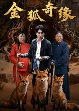 金狐奇缘(42集) 金狐奇缘(42集)经典老剧免费看