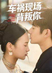 车祸现场背叛你(37集) 车祸现场背叛你(37集)红果免费看短剧