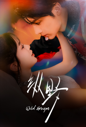 纵野（60集）在哪个平台看