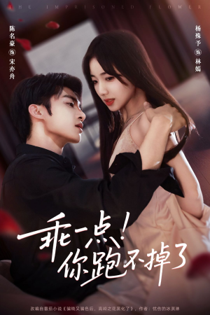 乖一点！你跑不掉了（80集）一起追生活短剧