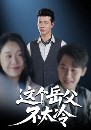 这个岳父不太冷（30集）在线看完整版