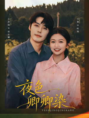 夜色卿卿染（80集）360网盘观看