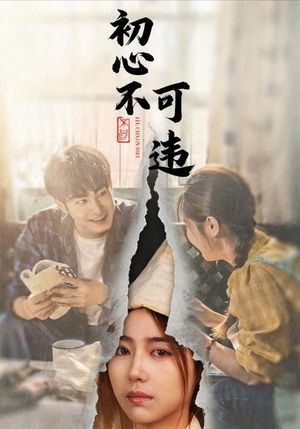 初心不可违（62集）短剧解说全集