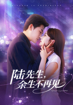 陆先生,余生不再见(88集) 陆先生,余生不再见(88集)红果免费短剧