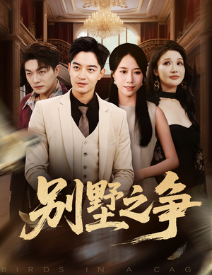 别墅之争(59集) 别墅之争(59集)好看的短剧