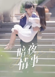 暗夜情事（100集）分享好看短剧