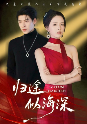 归途似海深(61集) 归途似海深(61集)短剧全集大结局